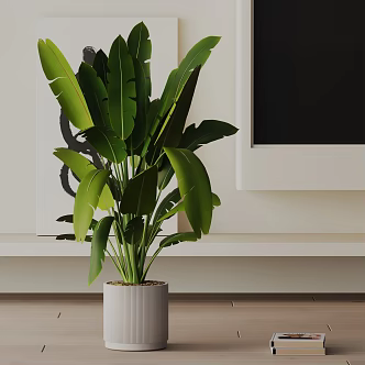 Modern Potted Plant 3d model