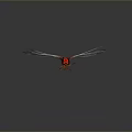 Red Dragonfly With Spread Transparent Wings On Dark Background Showing Natural Beauty