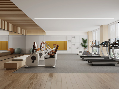 Modern Gym 3d model