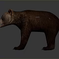 Realistic Brown Bear Standing Model With Detailed Fur And Lifelike Posture