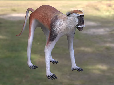 Brown And White Reptile Standing On Green Grass With Blurred Natural Background 3d model