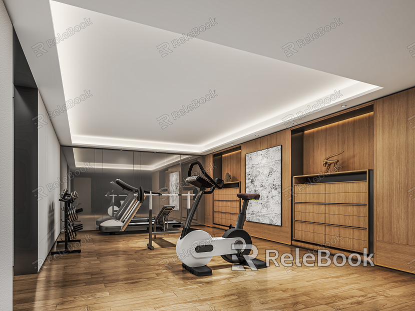 modern gym home fitness room recreation room fitness equipment spinning sports equipment decoration cabinet model