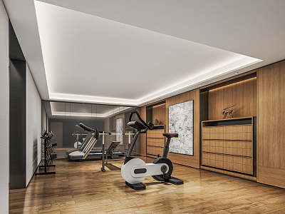 modern gym home fitness room recreation room fitness equipment spinning sports equipment decoration cabinet 3d model