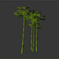 Green Bamboo Plants with Lush Green Leaves and Tall Straight Stems