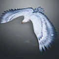 White and Blue Feathered Eagle Flying with Spread Wings Against Gray Background 3d model
