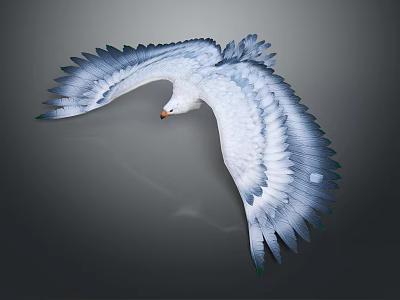 White and Blue Feathered Eagle Flying with Spread Wings Against Gray Background 3d model