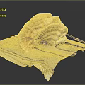 Vibrant Yellow Orange Ganoderma Plant With Fan Shaped Caps On Wooden Plank Against Dark Background