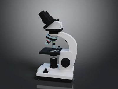 Household Educational Microscope With Adjustable Lenses For Student Science Home Experiments 3d model