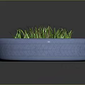 Green Grass Growing Lush Inside a Blue Recycled Tire Planter Container