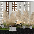 Plant Combination Featuring Tall Feathery Low Green Plants Gray Wall Light Chair Round White Lights