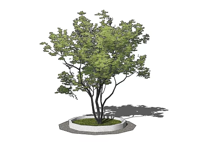 Circular Tree Pit Design With Gray Edge Green Grass And Tree 3d model