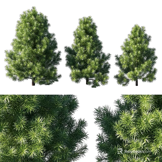 Three Pine Tree Decorative Ornament Set with Detailed Branches Realistic Foliage for Home Decoration 3d model 