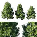 Three Pine Tree Decorative Ornament Set with Detailed Branches Realistic Foliage for Home Decoration