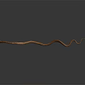 Slender Brown Snake Curved on Dark Background with Visible Reflection in Minimalist Scene