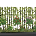Lush Plant Combination With Climbing Vines And Colorful Bushes In Vertical Garden