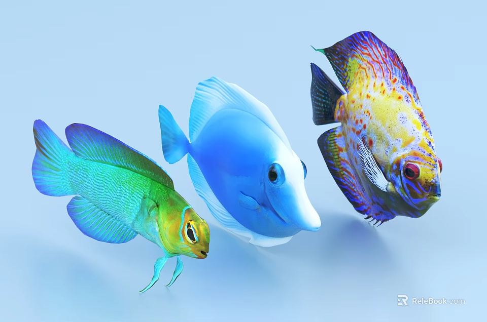 Vibrant Colorful Tropical Fish With Green Blue And Yellow Patterns Swimming 3d model 