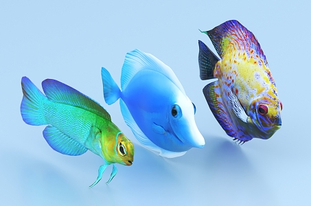 ornamental fish goldfish tropical fish koi carp 3d model