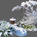 Snow Covered Garden Decor With Frosted Plants And Lantern Ornament In Winter