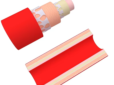 Organ and Hair Structure Displaying Layered Cross Sections and Colorful Components 3d model
