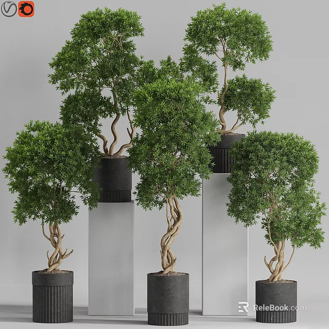 Modern Garden Ornaments with Potted Trees in Black Pots on White Pillars 3d model 