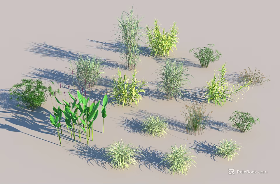 Various Herbs and Grasses in Different Heights Shapes with Green Yellow Tones on Light Background 3d model 