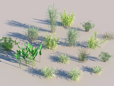 Various Herbs and Grasses in Different Heights Shapes with Green Yellow Tones on Light Background 3d model