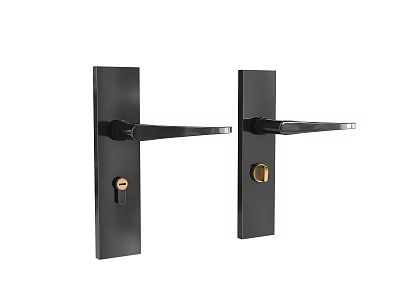 Sleek Black Door Handle with Brushed Gold Lock for Contemporary Home Doors Design 3d model