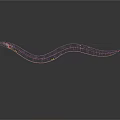 Abstract Colorful Line Art With Wavy 3D Structure And Vibrant Curves