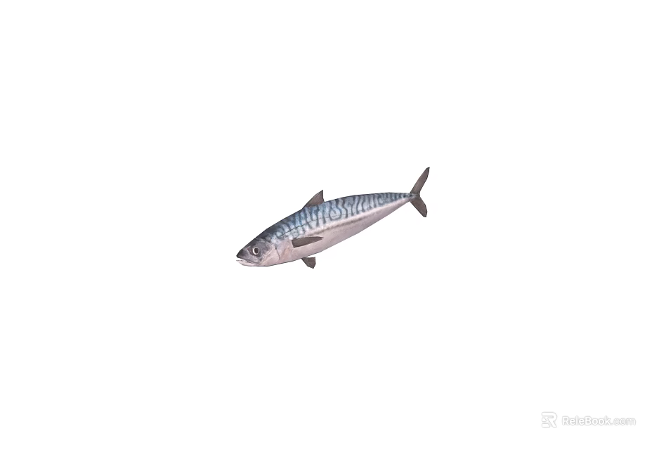 Fresh Mackerel Fish With Striped Back And Silver Body In Natural Form 3d model 