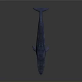 Blue Gray Prehistoric Aquatic Animal With Streamlined Body And Open Mouth