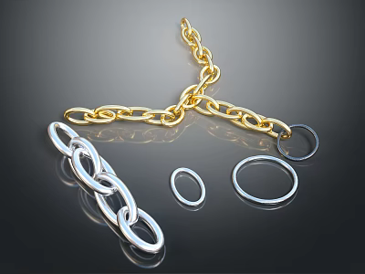 Elegant Jewelry Pieces With Golden Chain Silver Chain And Circular Metal Rings 3d model
