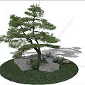 Pine Arbor With Green Grass And Stones Under Blue Sky White Clouds