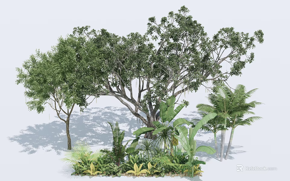 The Lush Arbor with Dense Foliage in Garden Featuring Palm Trees and Green Shrubs 3d model 