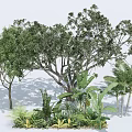 The Lush Arbor with Dense Foliage in Garden Featuring Palm Trees and Green Shrubs