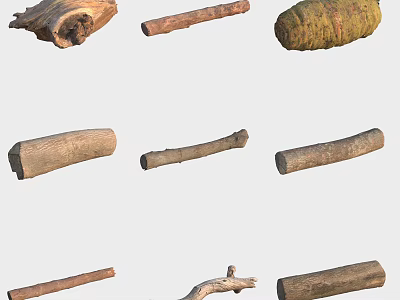 Various Natural Wooden Logs And Tree Branches For Decorative Projects 3d model