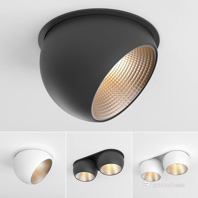 Modern Stylish Downlights And Spotlights With Black White Design And Single Double Head 3d model 