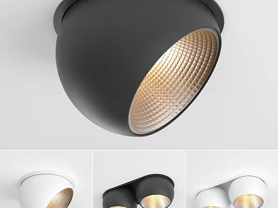 Modern Stylish Downlights And Spotlights With Black White Design And Single Double Head 3d model