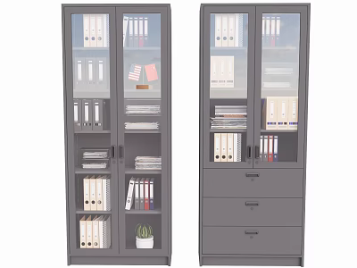 Grey Glass Door Filing Cabinets With Folders Books Drawers And Potted Plant 3d model
