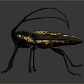 Detailed Longhorn Beetle with Long Antennae Black and Yellow Body on Dark Background
