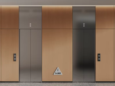 Public Facility Double Elevators With Wooden Panels Metal Doors And Accessibility Sign 3d model
