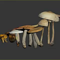 Fresh Wild Mushrooms Variety With Orange Red White Brown Caps And Stems For Culinary Use