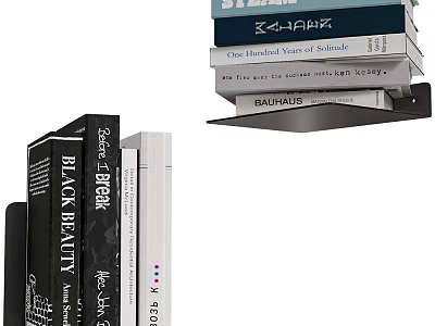 Stacked Books Collection With Classic And Modern Literary Titles On Floating Shelf 3d model
