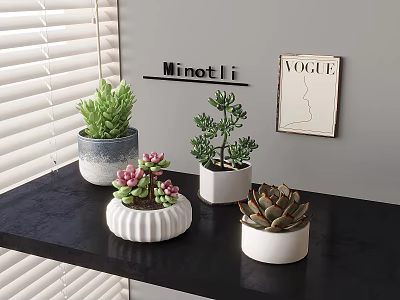 Succulent Plants Arranged on Black Shelf With Various Ceramic Pots Window Blinds and Wall Decor 3d model