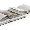 Opened Magazines And Books Display Interior Photo And Text Layout On Open Pages