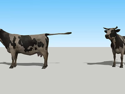 Two Cows of Different Sizes Standing on Gray Ground Under Blue Sky 3d model