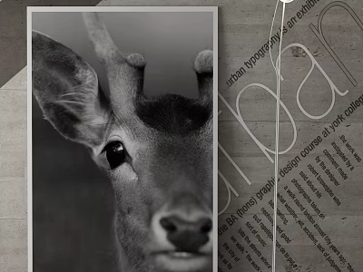 Black And White Deer Head Close Up Animal Painting With Newspaper Background 3d model