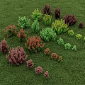 Various Colorful Bushes in Different Sizes on Lush Green Grass Field