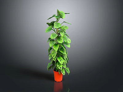 Green Leafy Indoor Houseplant In Orange Pot With Lush Foliage 3d model