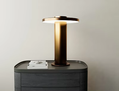 Brass Cylindrical Table Lamp With Round Shade On Dark Wooden Cabinet And White Book 3d model