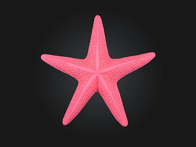 Vibrant Pink Starfish Marine Creature With Detailed Texture On Black Background 3d model Vibrant Pink Starfish Marine Creature With Detailed Texture On Black Background 3d model